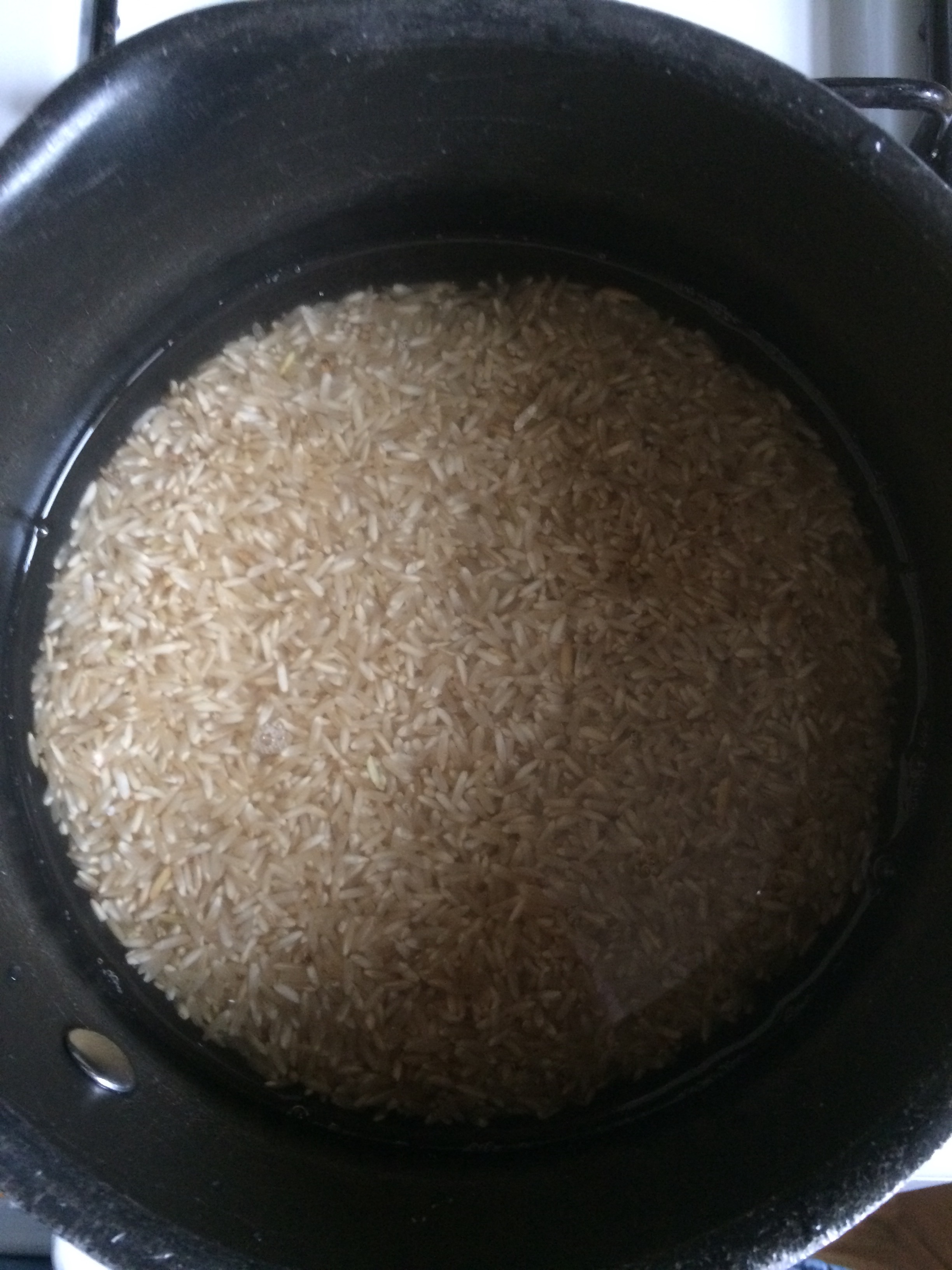 Brown Rice in pot